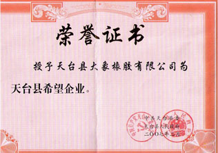 Company honor 3